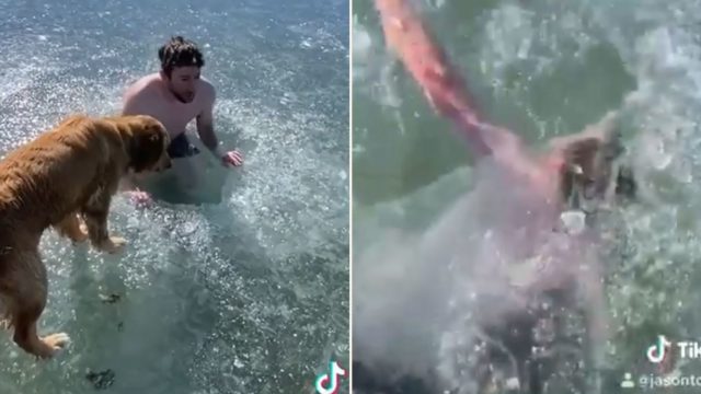 TikTok user ‘almost dies’ after getting trapped under frozen lake