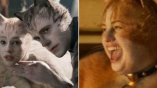 People are going mental over the #buttholecut of Cats