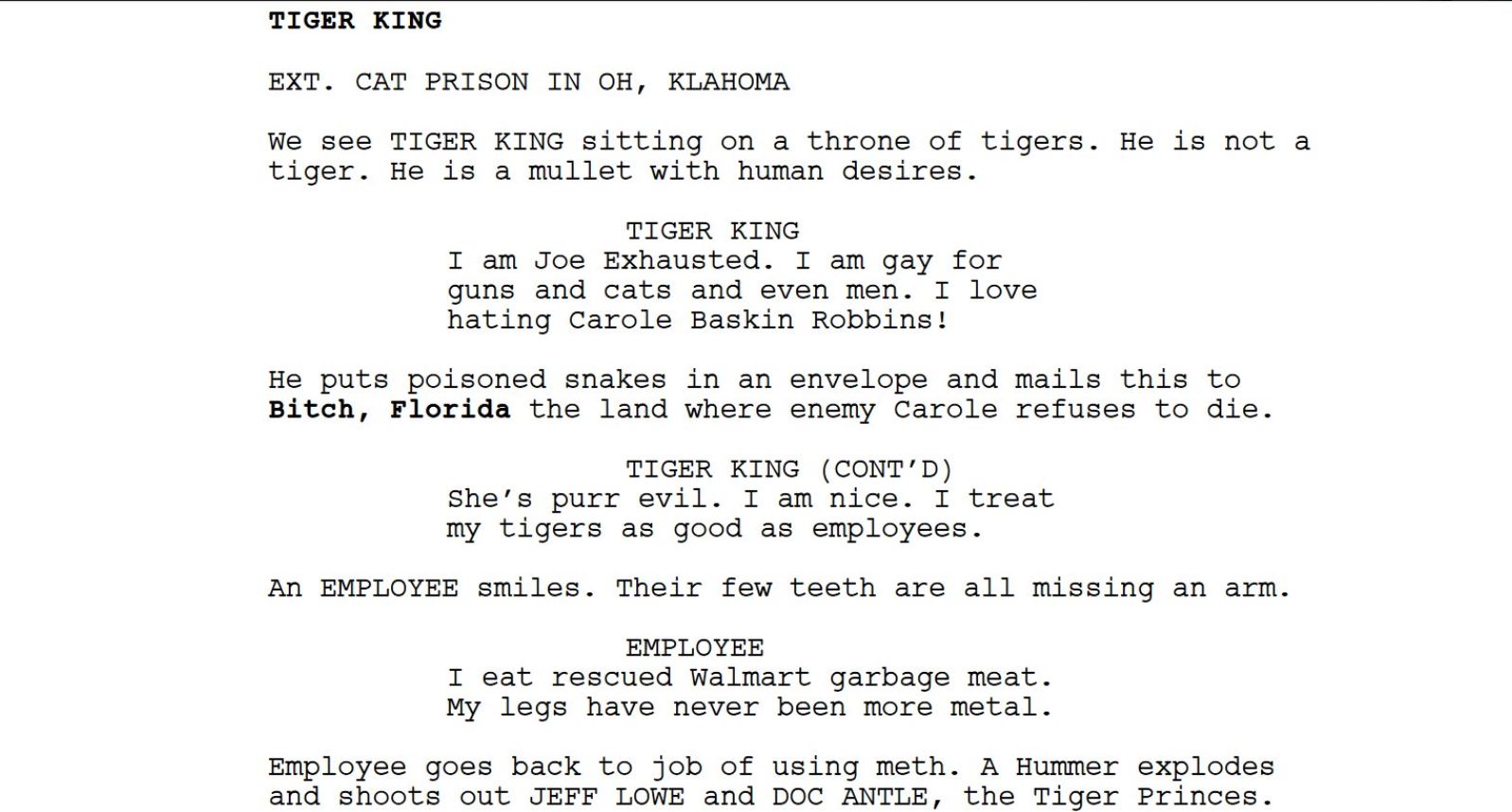 Bloke programs bot to create new episode of Tiger King, script turns out bloody gold