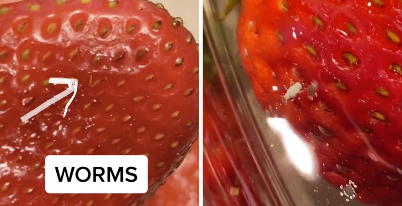 People are vowing never to eat strawberries again after TikTok video shows hidden bugs