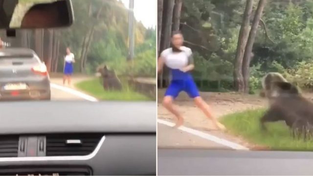 Wild bear lunges at sheila who tries to pose for photo beside it