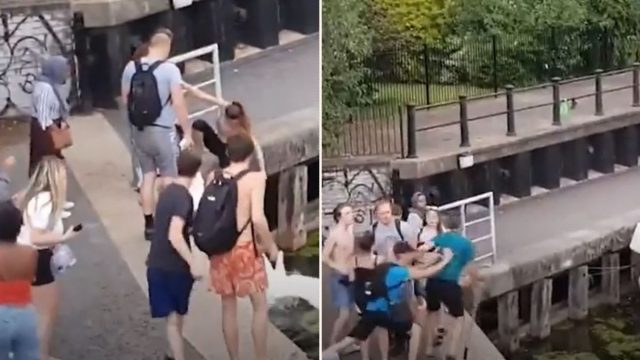 Bloke shoved into canal after standing up for two swans