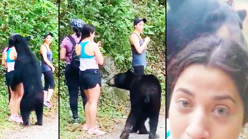 Protesters nude stand off goes viral - Ozzy Man's Mad World Blog