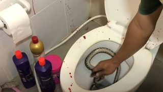 Snake bites a poor dude while he was using the toilet