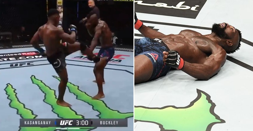 UFC Commentators label this spinning-heel-kick “the greatest KO ever”