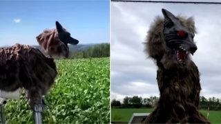 Japanese town erects monster wolves to deter wild bears