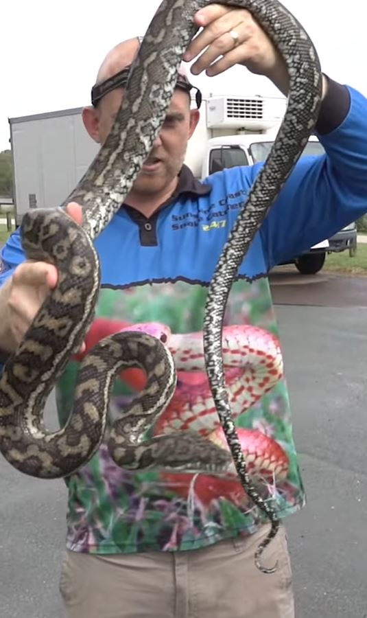 Anonymous bloke warns sheila of snake in car on Australia Day