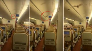 Loose bat on Air India flight forces it to turn around mid-flight