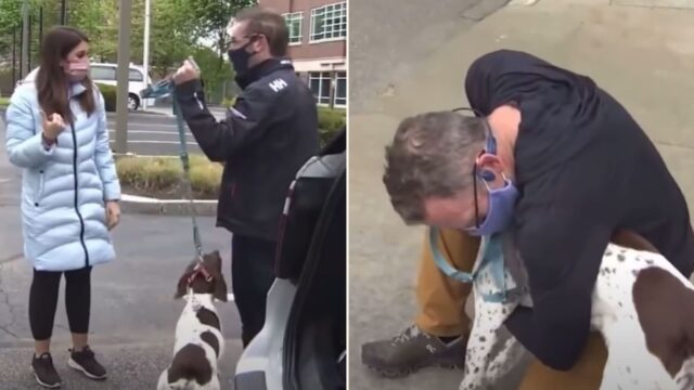 News reporter bumps into dog thief while reporting the story