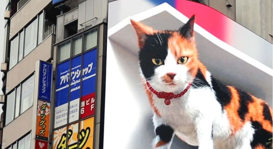 A giant 3D Cat has taken over one of Tokyo’s biggest billboards