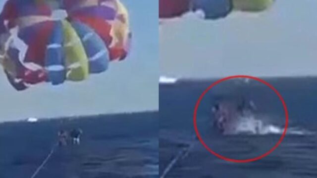 Shark leaps out of the f@#*en water and bites parasailor’s foot