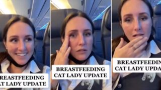 Sheila allegedly breastfeeds cat on Delta airlines flight