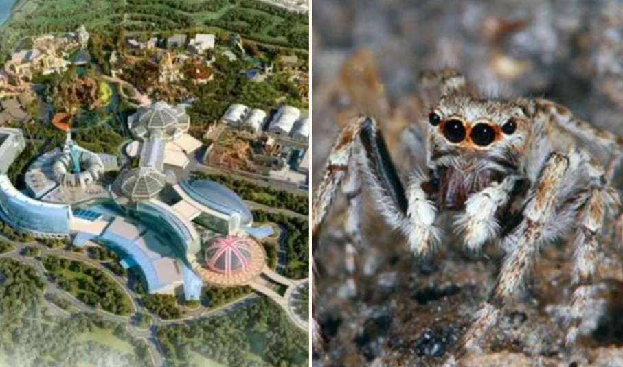 Progress on Britain’s biggest new theme park halted thanks to tiny spider