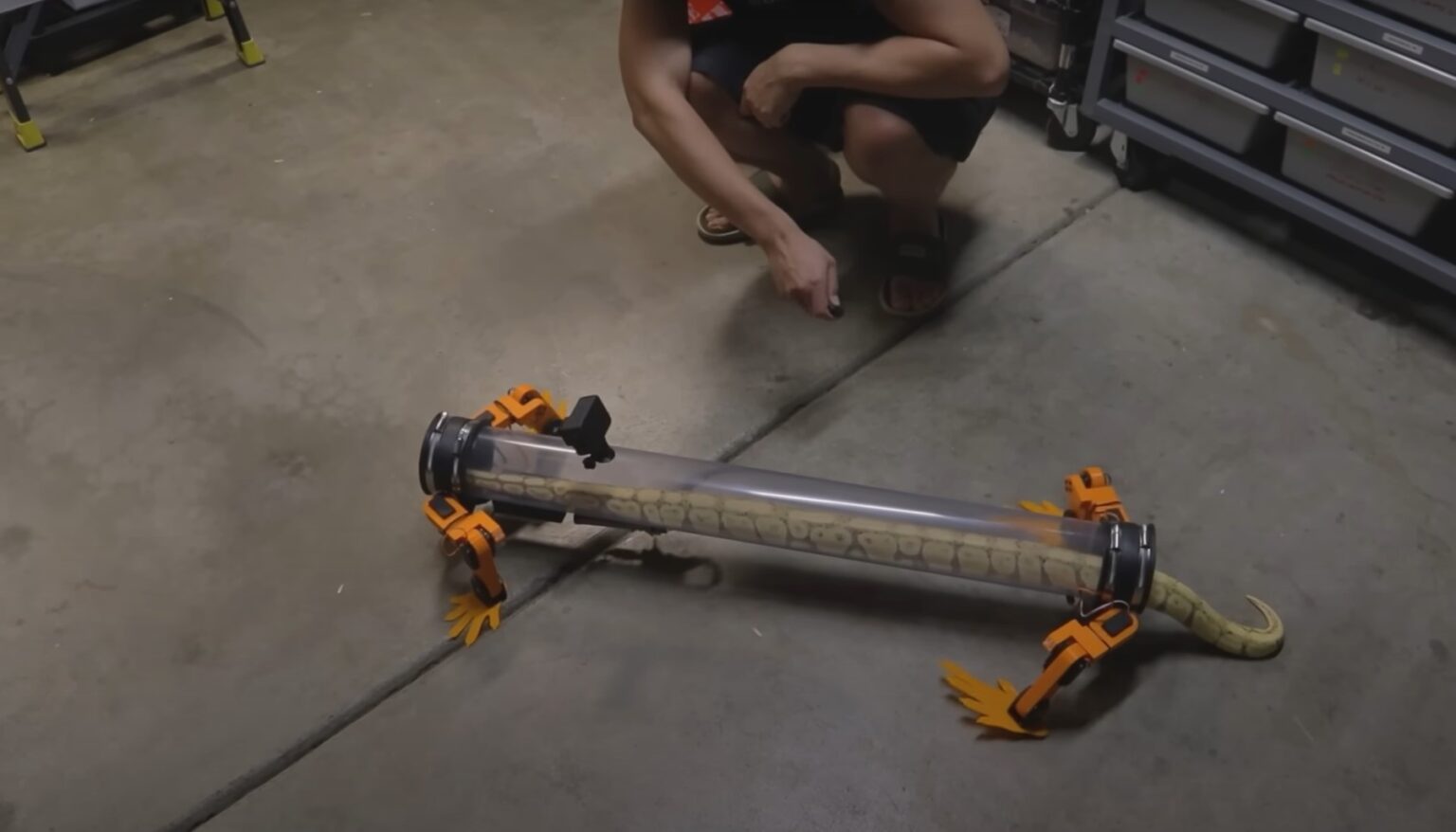 This bloke built legs for a snake, here's how it reacted